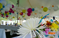 Party table with colourful balloons